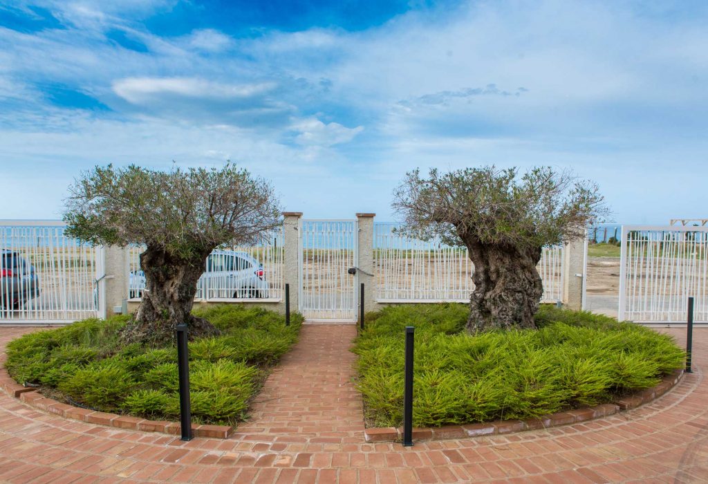 Foto Galia Luxury Resort