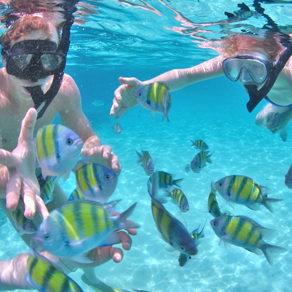 Vacanze Mare Estero