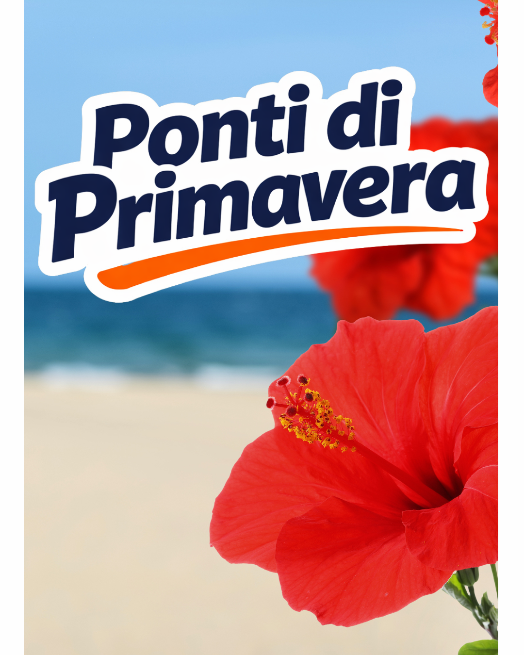 Offerta Vacanze Brevi
