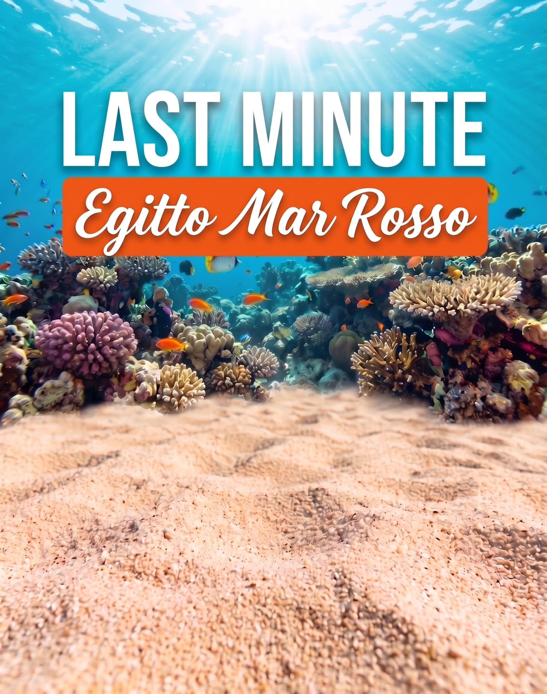 Offerta Last Minute Egitto Mar Rosso